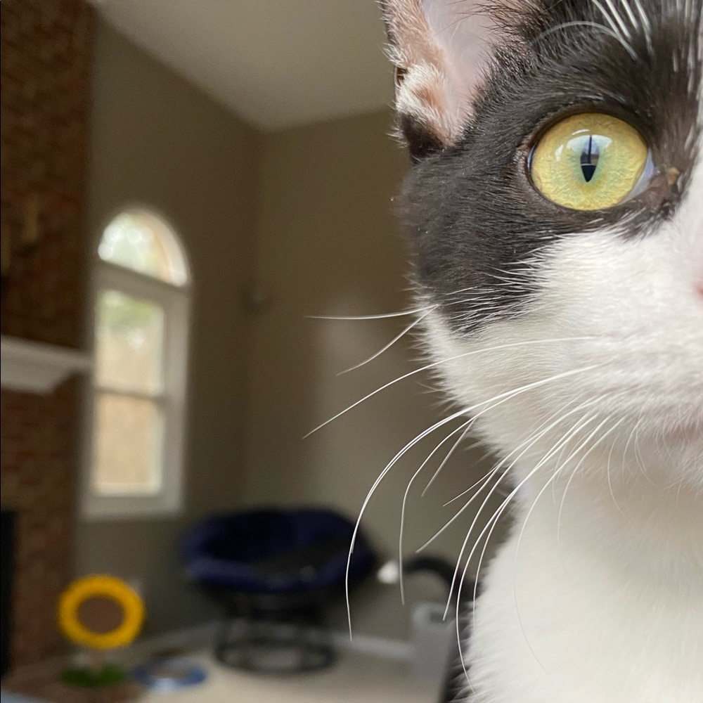 Meet your Posher, Andrea